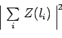 \begin{displaymath}\begin{array}{\vert c\vert}\sum\limits_{i}\,Z(l_i)\\ \end{array}^{\,2}\end{displaymath}