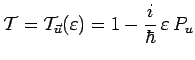 $\displaystyle \mathcal{T}=\mathcal{T}_{\vec{u}}(\varepsilon)=1-\frac{i}{\hbar}\,\varepsilon\,P_u$