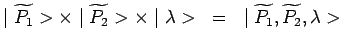 $\displaystyle \mid\widetilde{P_1}>\times\mid\widetilde{P_2}>\times\mid\lambda>~=~
\mid\widetilde{P_1},\widetilde{P_2},\lambda>$