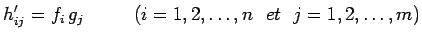 $\displaystyle h^{\prime}_{ij}=f_i\,g_j~~~~~~~~(i=1,2,\ldots,n~~et~~j=1,2,\ldots,m)$