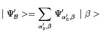 $\displaystyle \mid
\Psi^\prime_\mathcal{B}>=\sum\limits_{\alpha_0^\prime,\beta}\,
\Psi^\prime_{\alpha_0^\prime,\beta}\,\mid \beta>$