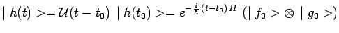 $\displaystyle \mid h(t)>=\mathcal{U}(t-t_0)\,\mid h(t_0)>=
e^{-\frac{i}{\hbar}\,(t-t_0)\,H}\,\left(\mid f_0>\otimes\,\mid
g_0>\right)$