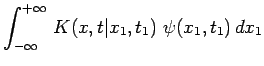 $\displaystyle \int_{-\infty}^{+\infty}\,K(x,t\vert x_1,t_1)~\psi(x_1,t_1)\,dx_1$
