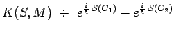 $\displaystyle K(S,M) ~\div~ e^{\frac{i}{\hbar}\,\mathcal{S}(C_1)}
+e^{\frac{i}{\hbar}\,\mathcal{S}(C_2)}$